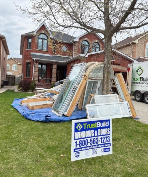 WhatsApp Image 2025-11-05 at 01.25.29_0d7482dd